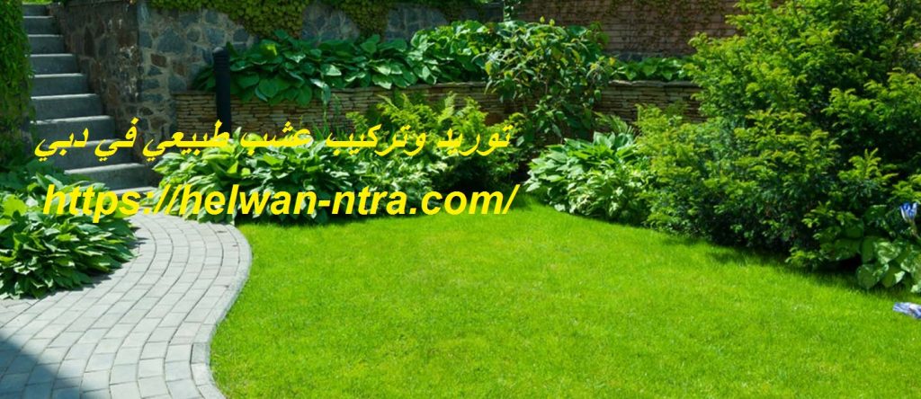 توريد وتركيب عشب طبيعي في دبي